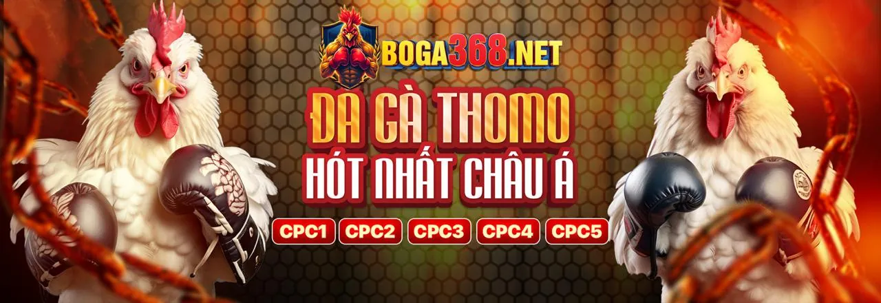 Tin tức bongdalu. vip: Cập nhật thể thao và giải trí
